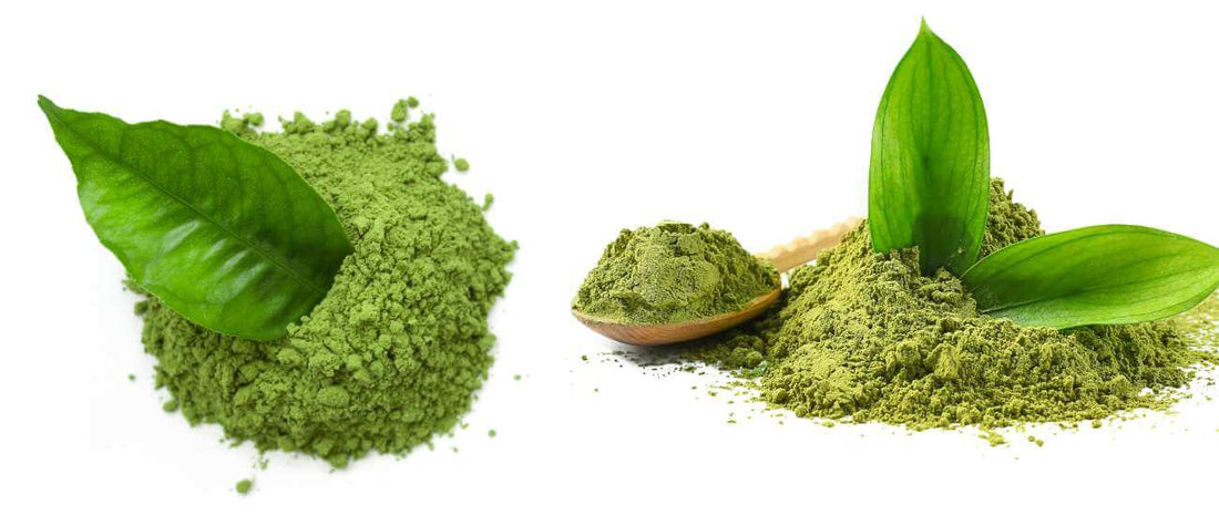 Ceremonial Grade Matcha vs. Culinary Grade Matcha: What's the Difference?
