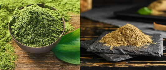 What is the Difference Between Hojicha and Matcha?