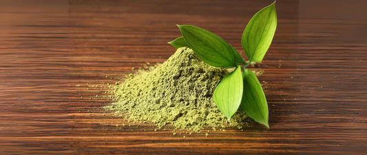 Kosher Matcha - The Ultimate Guide